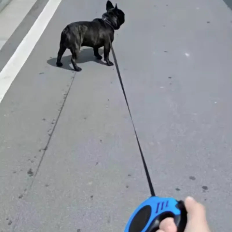 Automatic Retractable Dog Leash